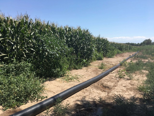 Lay-Flat Irrigation Hose